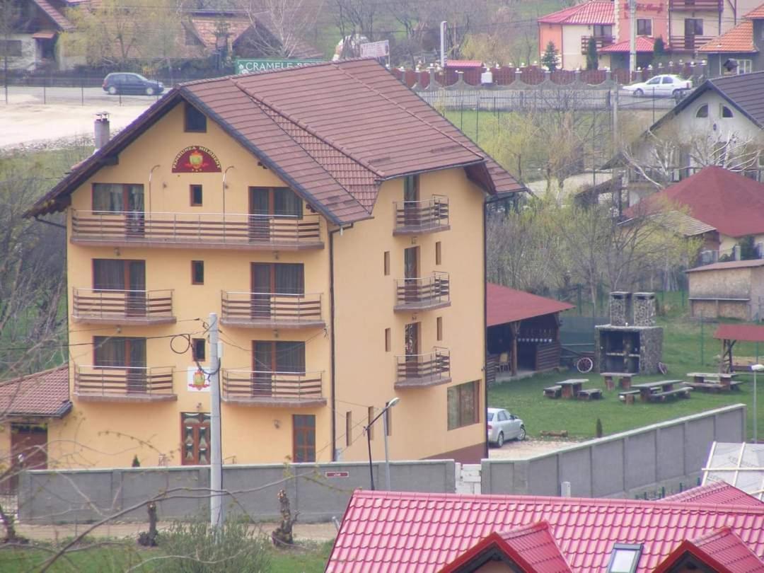 Pensiunea Riffelt Bran  Esterno foto
